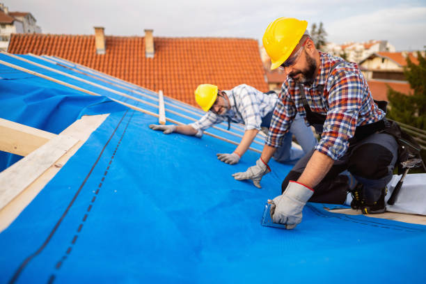 Roof Gutter Cleaning in College Place, WA