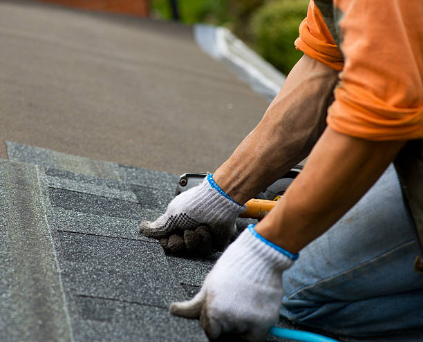 Best Metal Roofing Contractor  in College Place, WA